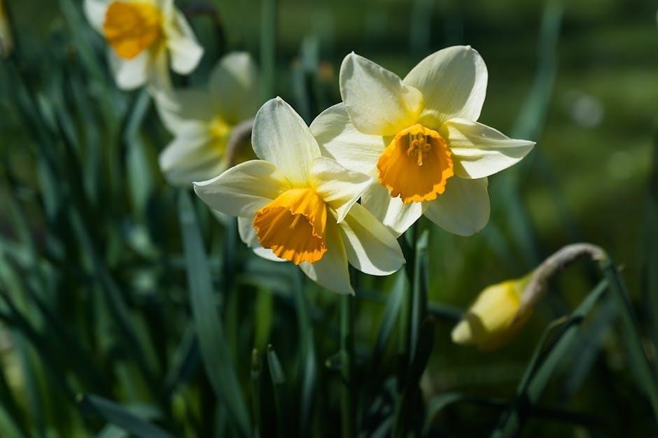 daffodils poem pdf