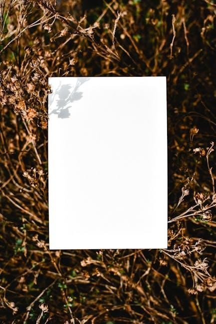 blank football formation sheets pdf